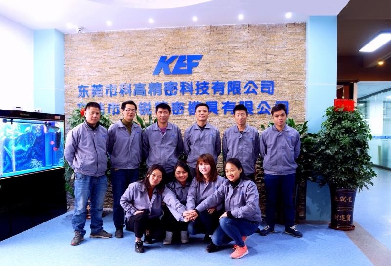 China Dongguan Kegao Precision Technology Co., Ltd. Unternehmensprofil